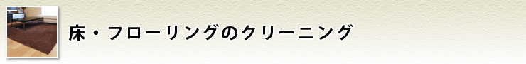 フローリング・カーペット