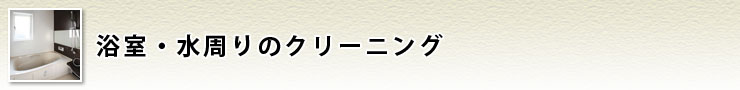 水まわりクリーニング