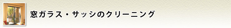 外まわりクリーニング